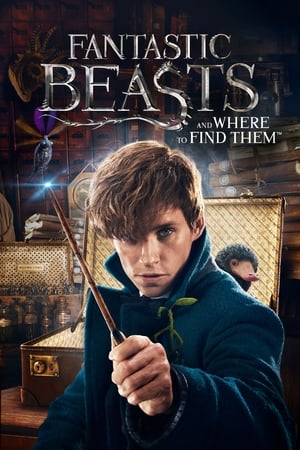Fantastic Beasts and Where to Find Them 2016 HD- [600MB] - Movierulz