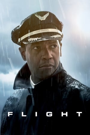 Flight (2012) Hindi Dual Audio 400MB - Movierulz