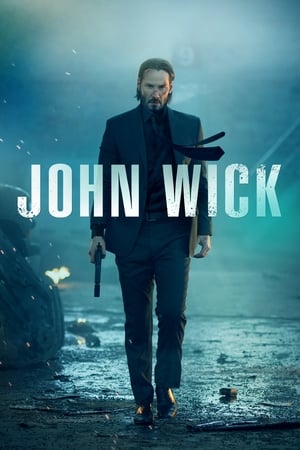 John Wick (2014) Hindi Dual Audio 300MB ESubs - Movierulz