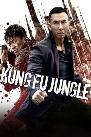 Kung Fu Jungle (2014) Hindi Dual Audio [800MB] - Movierulz