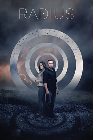 Radius (2017) Hindi Dual Audio [870MB] - Movierulz