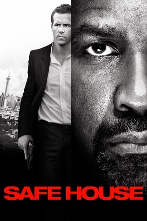 Safe House (2012) Hindi Dual Audio [1GB] - Movierulz