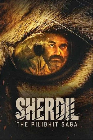 Sherdil: The Pilibhit Saga 2022 Hindi Dual Audio - Movierulz