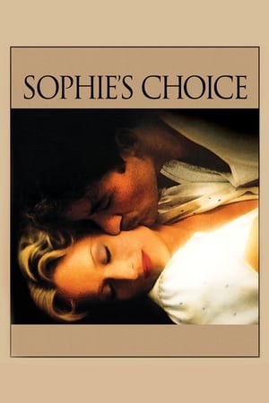 Sophie's Choice (1982) Dual Audio Hindi Full Movie - 1.1GB - Movierulz