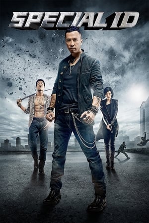 Special ID (2013) Hindi Dual Audio [1.3GB] ESubs - Movierulz