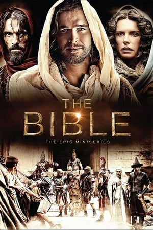 The Bible 2013 S01E05 (Hindi) Dubbed [250MB] - Movierulz