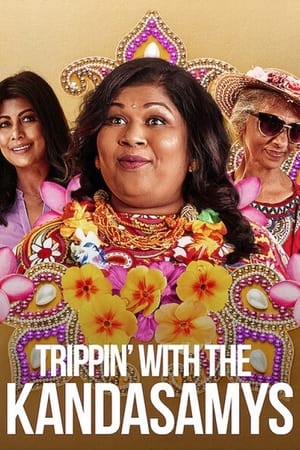 Trippin with the Kandasamys 2021 Hindi Dual Audio 300MB - Movierulz