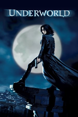 Underworld (2003) 100mb Hindi Dual Audio movie Download - Movierulz
